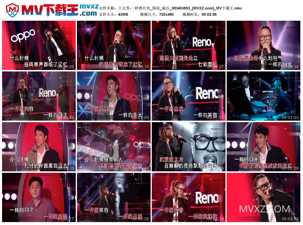 王文芳-一样的月光_国语_流行_MD403853